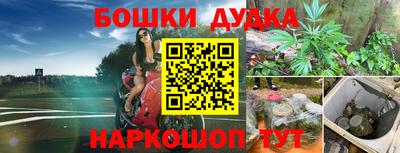 прущий лед Бийск