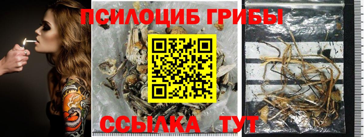 Псилоцибиновые грибы прущие грибы  Вход с VPN  Звенигород 